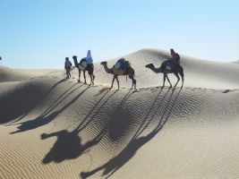 Comptoir de la Tunisie, le spcialiste des voyages sur mesure en Tunisie